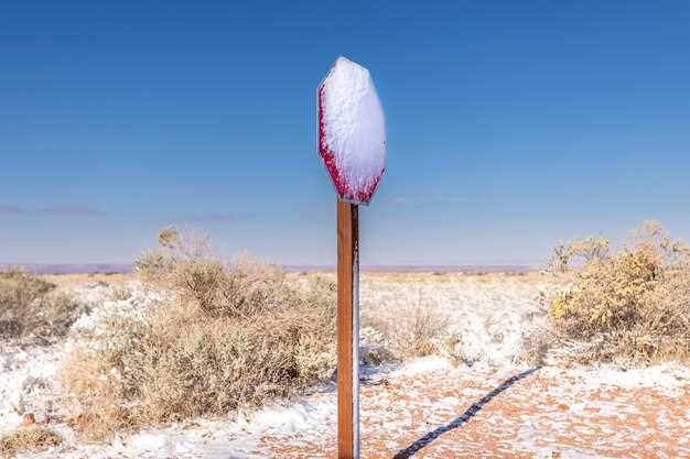 Installation Tips for Enhanced Durability in Harsh Conditions