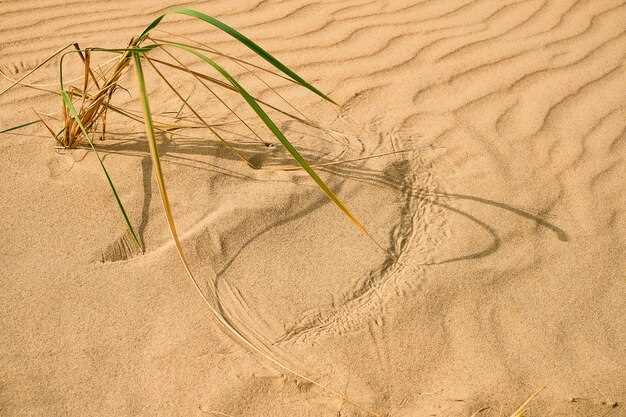 Proper use of momentum in sand and dunes
