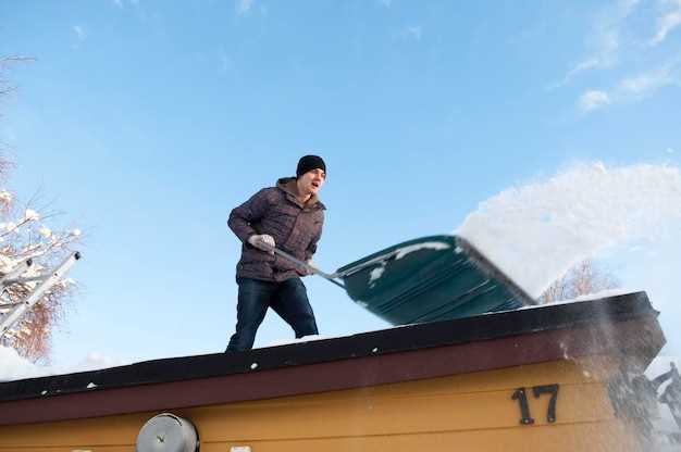 Essential Fluids to Prevent Winter Damage